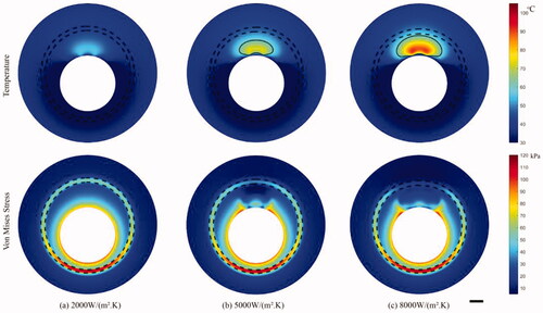 Figure 10. The temperature and stress distribution in the cross-section after 6 s of heating when convective coefficient is (a) 2000 W/m2·K, (b) 5000 W/m2·K and (c) 8000 W/m2·K with target temperature is 45 °C. Scale bar: 1 mm.