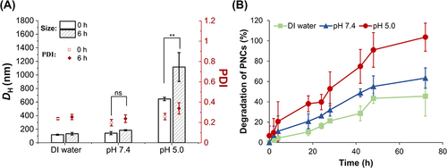 Figure 3 pH-Responsive size change of 100 μg/mL f-OVA-PNCs (10: 5, w/w) in DI water, pH 7.4 (10 mM PB), and pH 5.0 (10 mM AB) for 6 h (A). Acid-responsive degradation of f-OVA-PNCs (10: 5, w/w) in DI water, pH 7.4 (10 mM PB), and pH 5.0 (10 mM AB) for 48 h (B). The comparison of mean size changes in PNCs at 0 and 6 h under pH 7.4 and pH 5.0, respectively, was conducted using a T-test. P** ˂ 0.05 was considered significant, and pns > 0.05 were no statistical difference.
