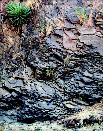 Figure 3. Acid to intermediate lava flows outcropping at the Melka fault.