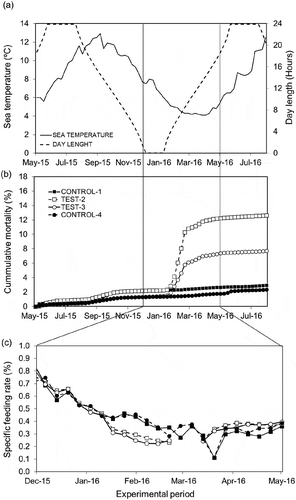 Figure 2. Ambient daily sea temperature (°C, y-axis), day length (hours of daylight, z-axis) (a) and weekly cumulative mortality during the production cycle for the control and test pens (b) during the production cycle (May 2015 to July 2016). The specific feeding rate (%) for the control and test pens from December 2015 to May 2016 (c)