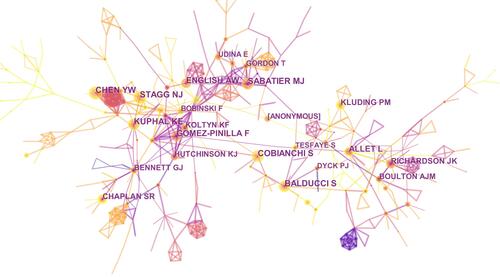 Figure 9 The analysis of authors. Network map of active authors contributed to exercise and neuropathic pain research.