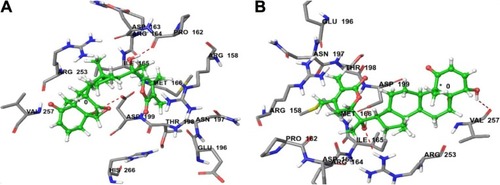 Figure 3 (A) Predicted interactions of CID_11294368 with anticancer target enzyme β-tubulin (PDB code 4IHJ) with a docking total score of 6.4885, revealing two H-bonds of length 2.1 and 1.6 Å, respectively, to the binding site pocket residues ASP-199 and PRO-162. (B) Predicted interactions of ID_53477765 with anticancer target enzyme β-tubulin (PDB code 4IHJ) with a docking total score of 6.1862, revealing a H-bond of length 1.9Å to the binding site pocket residue ASP-199.