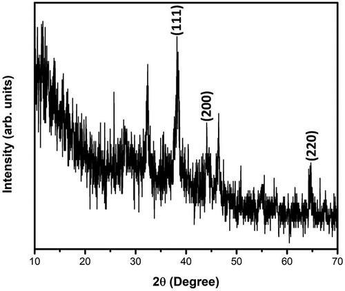 Figure 4. XRD analysis of silver nanoparticles (AgNPs) synthesized from Salvia miltiorrhiza.