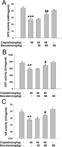 Figure 5. The activities of liver GPx (A), GST (B) and GR (C) in cisplatin-treated mice with or without administration of baicalein.