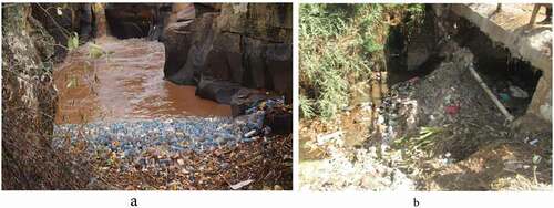 Figure 1. Illegal waste dumping practices in Wallame River, Dilla town, Southern Ethiopia.