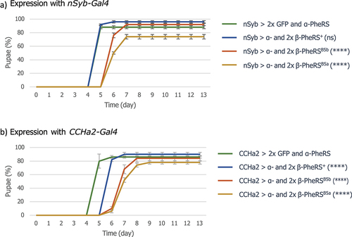 Figure 6. Effects of PheRS overexpression with nSyb- and CCHa2-Gal4 drivers. Time to pupation when control GFP or 1×α- and 2×β-PheRSX were overexpressed with the (a) nSyb-Gal4 driver or (b) CCHa2-Gal4 driver. All experiments were performed in triplicates with 50 larvae each. Graphs represent median ± SD. Mann-Whitney-U-Test was used to compare results to the control. p-value not significant (ns) > 0.05, * ≤ 0.05, ** ≤ 0.01, *** ≤ 0.001, **** ≤ 0.0001.