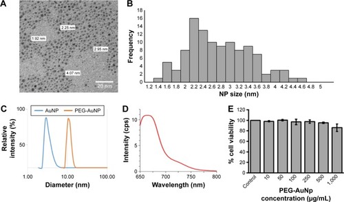 Figure 1 Size, fluorescence, and toxicity measurements of PEG-AuNP.Notes: (A) TEM of AuNP showing individual NPs and sample measurements. (B) Histogram of AuNP size distribution measured from TEM images. (C) DLS plot indicating an increase in diameter of AuNP after PEGylation. (D) Fluorescence peak at 667 nm matches the emission of Alexa Fluor 647 conjugated to PEG-AuNP. (E) MTS assays show no PEG-AuNP toxicity to RFPEC up to 1,000 µg/mL for 16 hours.Abbreviations: TEM, transmission electron microscope; AuNP, gold NPs; DLS, dynamic light scattering; PEG, polyethelyne glycol; MTS, 3-(4,5-dimethylthiazol-2-yl)-5-(3-carboxymethoxyphenyl)-2-(4-sulfophenyl)-2H-tetrazolium; RFPEC, rat fat pad endothelial cell; NP, nanoparticle.