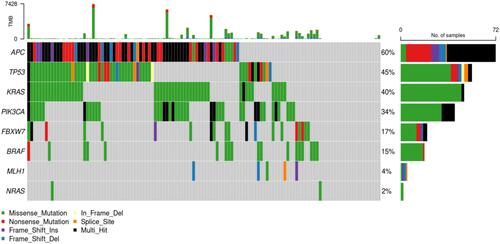 Figure 2 The Cancer Genome Atlas Colon Adenocarcinoma Cohorts (TCGA COAD) stage II CRCs.