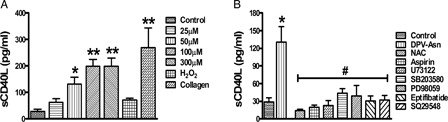 Figure 5. DPV-Asn-induced release of sCD40L is regulated by PLC-γ2 and thromboxane A2. (A) DPV-Asn, H2O2 (8 mM) or collagen (6 µg/ml)-induced release of soluble CD40L (sCD40L) from human washed platelets. The soluble CD40L (sCD40L) released from activated platelets in the presence of DPV-Asn, H2O2 or collagen was measured by enzyme-linked immunosorbent assay. (B) Effect of various pharmacologic interventions on DPV-Asn-induced sCD40L release from platelets (NAC (5 mM), aspirin (100 µM), U73122 (1 µM), SB203580 (10 µM), PD98059 (10 µM), eptifibatide (10 µM), SQ29548 (100 nM)). Data have been presented as mean ± SEM of amount of sCD40L released (pg/ml) of four independent experiments (*P < 0.05, **P < 0.01 vs. control platelets).