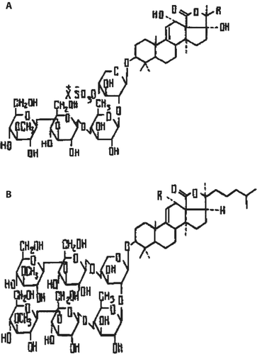 Figure 1.  Structure of some glycosides from Holothurin family (CitationStonik 1986): A, Holothurin structure fromHolothuria andActinopyga genera. B, Bohadschiosides from genusBohadschia.