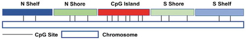 Figure 4. Five groups of CpG sites according to their relative location to CpG islands