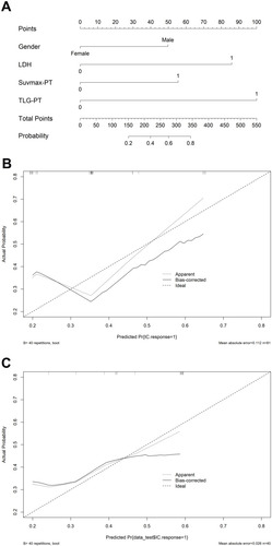 Figure 3 Nomogram (A) to predict NAC response in LANPC. Calibration curves for the nomogram to calculate NAC response with the training cohort (B) and with an internal validation cohort (C).