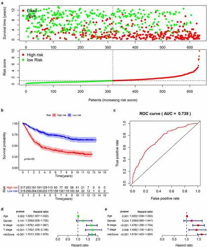 Figure 5. Prognostic analysis of 14-genes signature in the train cohort