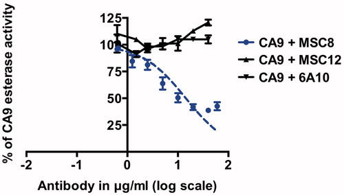 Figure 5. Dose-dependent inhibition of CA9 esterase activity with MSC8, MSC12 and 6A10. IC50 of MSC8 is 15 μg/ml ± 4. Data represent three independent experiments each in triplicates.