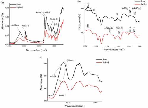 Figure 4. ATR-FTIR spectra of raw and pulled wool fibers;(a) the 4000–400 cm −1 region,(b) the 1250–1000 cm −1 region, (c) the 1750–1350 cm −1 region.