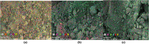 Figure 5. Elemental mapping of PA-12/CuONPs (a), MO adsorbed PA-12/CuONPs (b), BG adsorbed PA-12/CuONPs (c).