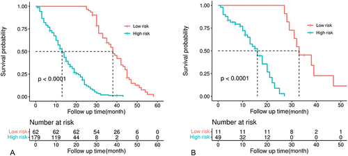 Figure 3 Kaplan-Meier estimates of overall survival according to the Youden index of DLSPcombin categorized high- and low-risk groups (A) training cohort (B) validation cohort.