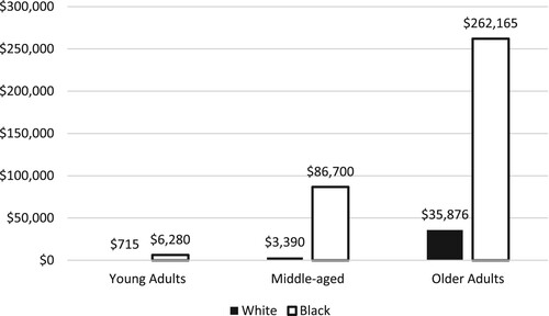 Figure 7. Median Wealth by age-cohort and race in the United States. Source: 2018 SIPP (U.S. Census Bureau Citation2018).