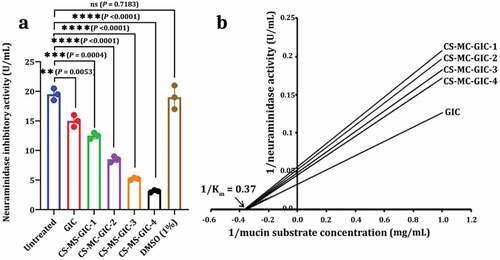 Figure 6. Neuraminidase inhibitor. Inhibitory activity of CS-MC-GICs against neuraminidase activity of PDR Candida albicans SYN-01 (PDR-CA-SNY-01) (a) and Lineweaver-Burk plot mechanism of this inhibitor compound (b). Variations between groups were analysed using unpaired and paired t-tests according to the type of obtained data at * P≤0.05, ** P≤0.01, *** P≤0.001, and **** P≤0.0001, while P > 0.05 is non-significant (ns).