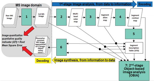 Figure 4. The SIAM lightweight computer program for prior knowledge-based MS reflectance space hyperpolyhedralization into color names, superpixel detection and vector quantization (VQ) quality assessment. It consists of six subsystems, identified as 1 to 6. Phase 1-of-2 = Encoding phase/Image analysis—Stage 1: MS data calibration into top-of-atmosphere reflectance (TOARF) or surface reflectance (SURF) values. Stage 2: Prior knowledge-based SIAM decision tree for MS reflectance space partitioning (quantization, hyperpolyhedralization). Stage 3: Well-posed (deterministic) two-pass connected-component detection in the multilevel color map-domain. Connected-components in the color map-domain are connected sets of pixels featuring the same color label. These connected-components are also called image-objects, segments or superpixels. Stage 4: Well-posed superpixel-contour extraction. Stage 5: Superpixel description table allocation and initialization. Phase 2-of-2 = Decoding phase/Image synthesis—Stage 6: Superpixelwise-constant input image approximation (“image-object mean view”) and per-pixel VQ error estimation. (Stage 7: in cascade to the SIAM superpixel detection, a high-level object-based image analysis (OBIA) approach can be adopted).