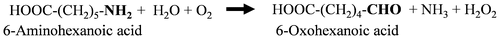 Fig. 1. A reaction scheme of oxidation of 6-aminohexanoic acid into 6-oxohexanoic acid by the ω-amino group oxidizing enzyme from Phialemonium sp. AIU 274 (ω-AOX).