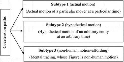 Figure 3. Three subtypes of coextension paths.