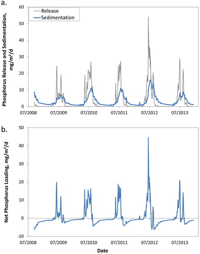 Figure 6. Daily phosphorus release, sedimentation, and net internal phosphorus loading for Lake Winnebago, hydraulic years 2009–2013, based on Lake Winnebago Jensen model results.