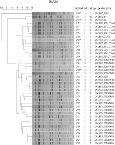 Figure 1 Dendrogram of XbaI-digested genomic DNA of 40 KPC-Kp isolates. Five different clusters were identified based on 85% similarity of PFGE profiles. An asterisk (*) indicates that the blaKPC-2 plasmid in the strain was transferable by conjugation.