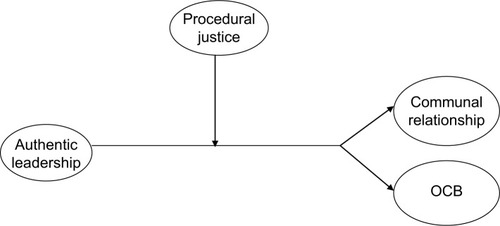 Figure 1 Hypothetical model of the relationship between authentic leadership (independent variable), procedural justice (moderator), communal relationship, and organizational citizenship behavior (OCB; dependent variables).