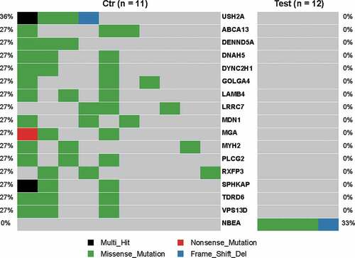 Figure 4. Comparison of mutational landscape between PD-L1high and PD-L1low EBVaGC in TCGA cohort