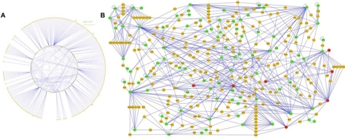 Figure 1 A) The protein–protein binding network is built on the basis on two sources of data, ie, the asthma pathogenesis literature published on the putative association of single nucleotide polymorphisms within genes coding corresponding proteins and the protein–protein interaction network data for all these proteins. The original dataset from the literature with 127 genes with single nucleotide polymorphism modifications were converted to corresponding proteins (synonymous marked as green and nonsynonymous marked as red nodes). The interacting protein partners for each of these proteins (yellow nodes) were searched using protein interaction network analysis. B) The Figure 1A network was modified so that each interacting protein (yellow nodes) binds to at least two (synonymous marked as green and nonsynonymous marked as red nodes) single nucleotide polymorphism proteins. A Cytoscape file can be loaded from the online supporting information. All the proteins are marked with the SwissProt name, but without the tag “_HUMAN” for clarity (see Table 1).