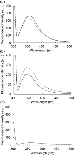 Figure 5. Effects of BFP on the fluorescence spectrum of α-amylase or α-glucosidase.Fluorescence emission spectra of α-amylase (a) or α-glucosidase (b) at 1.0 mg/mL in the presence (dotted line) or absence (solid line) of BFP (1000 µg/mL) were measured. Measurements were carried out after 15 min incubation of the mixture of enzyme and BFP at 25°C. Fluorescence emission spectrum of BFP alone (c) at 1000 µg/mL.