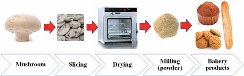 Figure 1. Mushrooms powder making and its utilization in bakery products