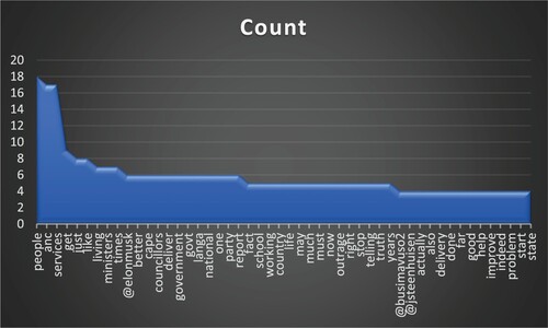 Figure 6. Most frequently used words in Zille’s 100 tweets.