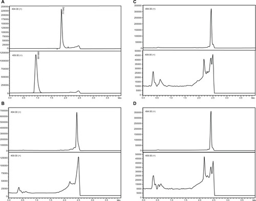 Figure 2 Chromatograms of (A) sample at lower limit of quantification level plus internal standard prepared in solvent. Extracted blank serum samples, (B) normal, (C) hemolyzed, and (D) hyperlipemic. Responses (vertical axes) are normalized to highest peak.