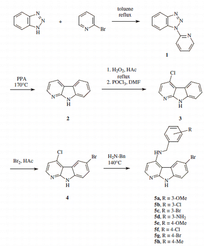 Scheme 1. Formation of 6-bromo-substituted compounds