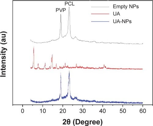 Figure 2 XRD diagrams of UA and UA-NPs.Abbreviations: NP, nanoparticle; PCL, polycaprolactone; PVP, poly(N-vinylpyrrolidone); UA, ursolic acid; UA-NPs, UA-loaded poly(N-vinylpyrrolidone)-block-poly (ε-caprolactone) nanoparticles; XRD, X-ray diffraction.