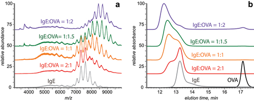 Figure 3. Native ESI mass spectra (a) and SEC chromatograms (b) of monoclonal anti-ovalbumin IgE incubated with ovalbumin at molar ratios 2:1 (red), 1:1 (gold), 2:3 (olive) and 1:2 (violet). The gray and black traces represent free antibody and antigen, respectively.