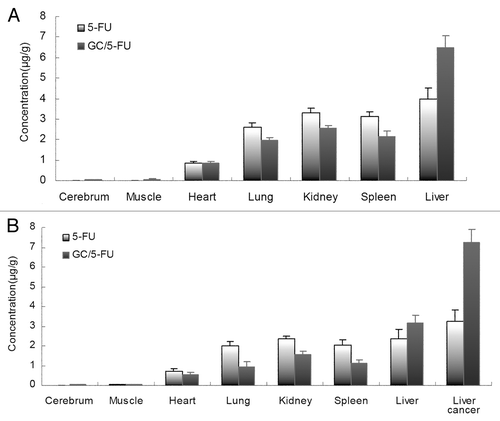 Figure 5. Model mice and normal mice were treated with i.v. 5-FU or GC/5-FU, 5-FU concentration in different tissues was determined 30 min post-injection; results were shown as an average ± standard deviation (n = 5). (A) 5-FU concentration in different tissues in normal mice. The 5-FU concentration in the liver in GC/5-FU group was significantly higher (over 1.5-fold) than that in 5-FU group. (B) 5-FU concentration in different tissues in model normal mice. The 5-FU concentration of liver and liver cancer tissue in GC/5-FU group was increased significantly than that in 5-FU group, the 5-FU concentration of liver cancer tissue in GC/5-FU group was over 2-fold in 5-FU group.