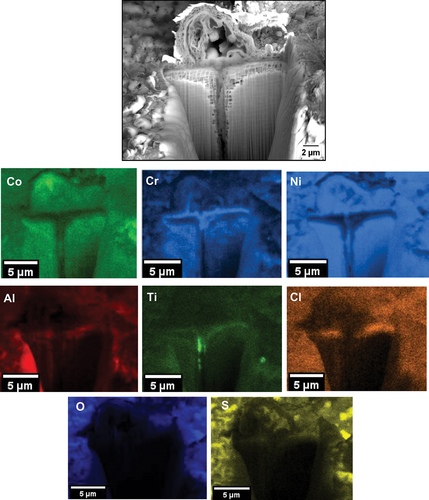 Figure 8. EDS map of cross-section through a NaCl salt deposit after 50 hours of exposure.