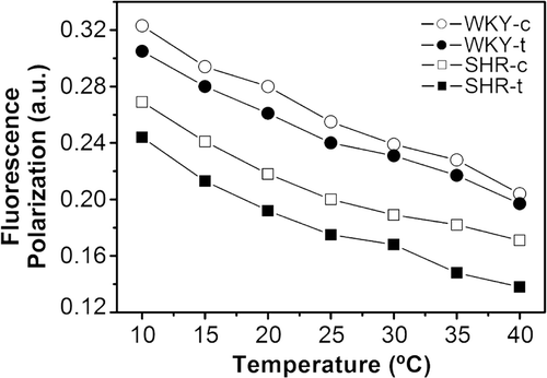 Figure 3.  Temperature dependency of the polarity of the DPH probe in reconstituted membranes with total lipid extract from SHR-c (□), SHR-t (▪), WKY-c (○) and WKY-t (•) liver plasma membranes. Fluorescence polarization data are mean values from three independent experiments.