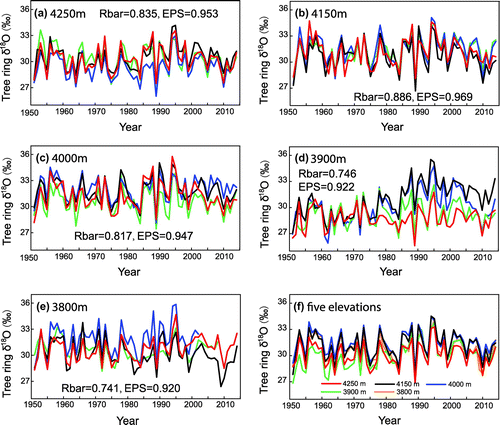 Fig. 6. Tree ring δ18O time series from different altitudes. Coloured lines in Figure 6a–e indicate oxygen isotope time series from different trees in each altitude, and coloured lines in Figure 6f indicate tree ring oxygen isotope time series from different altitudes.