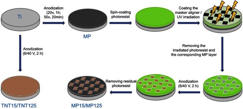 Scheme 1 Schematic illustration of the preparation of different titanium-based substrates.