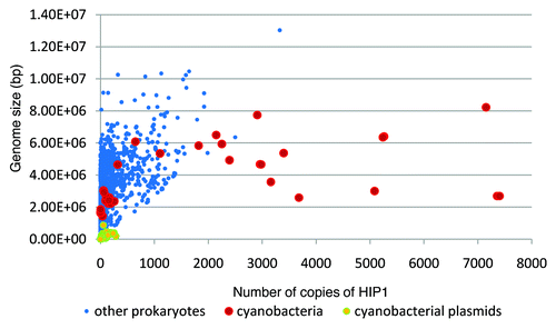 Figure 3 Number of copies of HIP1 vs. genome size per replicome.