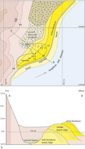 Figure 5. (a) Reconstruction of geomorphology of the site area showing the succession of beach ridges and the ancient extension of the lagoon; and (b) profile A-B showing the buried ancient lagoon and the infill of the depression enclosed by the eastern slope of Morne des Pétrification and a relict beach ridge (Figure by Menno Hoogland).