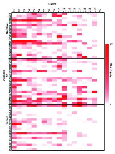 Figure 3. IL-2-fold change heatmap. The fold change of the supernatant levels of IL-2 from the three groups compared with the NC, as evaluated on Day 2, NC is a negative control. The clusters are listed across the top and the three cohorts are listed on the y axis.