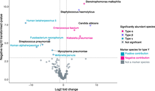 Figure 4 Enrichment of species between type γ and other types. Lung microbiota composition data was processed by edgeR to test enriched species between type γ and the other two phenotypes. Most prominently, Human betaherpesvirus 5, Fusobacterium necrophorum, Streptococcus pneumoniae, Human alphaherpesvirus 1, Staphylococcus cohnii, and Veillonella parvula were significantly enriched in type γ when compared to type α or type β. In type α, the significantly enriched genera were Stenotrophomonas maltophilia, Enterococcus faecium, and Klebsiella pneumoniae. While in type β, Staphylococcus haemolyticus and Candida albicans were in high abundance. Green dots represent significantly differentially abundant species in type γ. Red and blue dots represent significantly differentially abundant species in type α and type β. Species with name colored in green: within the genus that was selected by a random forest model for type γ, positive contributed to the detection of type γ. Species with names colored in red: within the genus were selected by a random forest model for type γ, negatively contributed to the detection of type γ. Black colored species were not marker species.