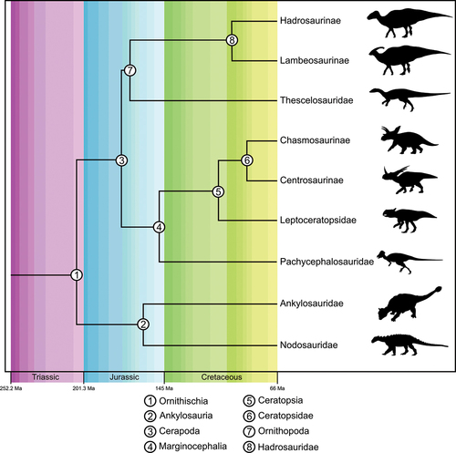 Figure 1. Time-calibrated phylogeny of major clades considered in this study. Original image credits for silhouettes: C Dylke (Centrosaurinae); MR Villarreal (modified by TM Keesey) (Chasmosaurinae); JM Wood (Lambeosaurinae); modified from Mallon et al. (Citation2013) and JM Wood (Hadrosaurinae); Boyd et al. (Citation2009) (Thescelosauridae); T Ford (Leptoceratopsidae); SA Vega (Pachycephalosauridae); B McFeeters and TM Keesey (Ankylosauridae); S Hartman (Nodosauridae).