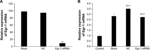 Figure 5 Relative expression of Egr-1 mRNA in HepG2 cells.