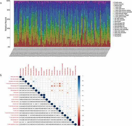 Figure 8. Proportion analysis of TICs and correlation analysis of TGCT samples. (a) Histogram of the proportion of 22 TICs in TGCT tumor samples. (b) Heatmap of the correlation between the 22 TICs, with numbers in boxes representing the p-value of the correlation between the two cells. The chromaticity of the circles in the box represents the corresponding p-value between two cells. Significance test was performed using Pearson coefficient